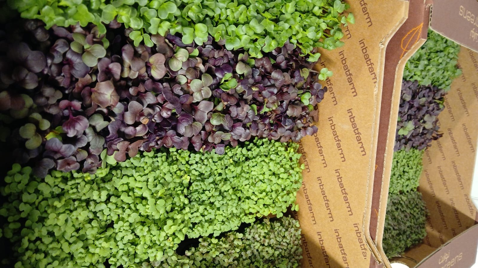 المنتجات الطازجة من جولدن